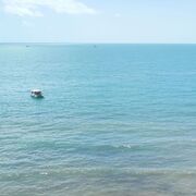 ���������� ���������, ���� ������� �����, 37 ���, ������������ 