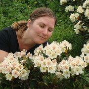 ���������� ����������, ���� ������� ���������, 33 ����, ������������ ��� ������, ����� � ���������