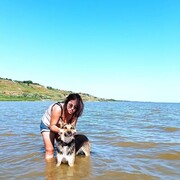 ���������� ������-��-����, ���� ������� ���������, 33 ����, ������������ ��� ������, ����� � ���������, c�������� ���������