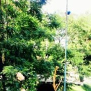  ,   , 49 ,     , c 