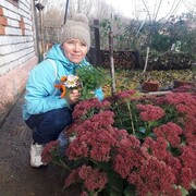 ���������� �����, ���� ������� �������, 50 ���, ������������ ��� ������, ����� � ���������