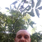  ,  , 41