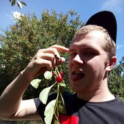 ���������� ����������, ���� ������� ������, 30 ���, ������������ ��� ������, ����� � ���������, c�������� ���������