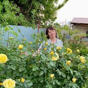  ,   , 63 ,     , c , 