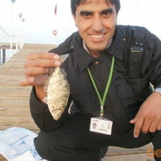 ���������� ������, ���� ������� ����, 40 ���, ������������ ��� ������, ����� � ���������, c�������� ���������