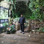 ���������� ���������, ���� ������� �������, 34 ����, ������������ ��� ������, ����� � ���������, c�������� ���������