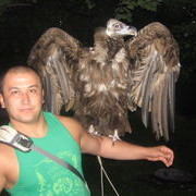 ���������� �������, ���� ������� �����, 40 ���, ������������ 