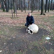 Garwolin,  , 51