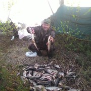 ���������� ��������, ���� ������� ���������, 54 ����, ������������ 