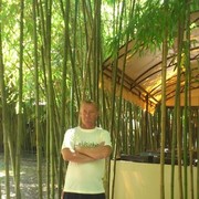 ���������� �������, ���� ������� Walt, 58 ���, ������������ ��� ������