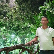  ,   , 41 ,     , c 