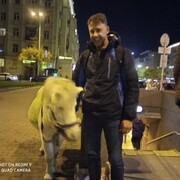 ���������� �����-���������, ���� ������� �������, 42 ����, ������������ ��� ������, ����� � ���������, c�������� ���������