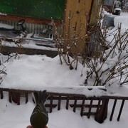  ,   Andrey, 30 ,   
