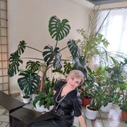 ���������� ����, ���� ������� �������, 55 ���, ������������ 