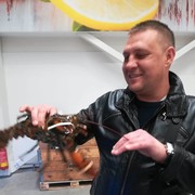 ���������� ����, ���� ������� ������, 45 ���, ������������ ��� ������, ����� � ���������, c�������� ���������