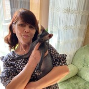  ,   , 55 ,   c 