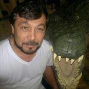  ,   , 48 ,   , 