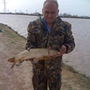  ,   , 59 ,   