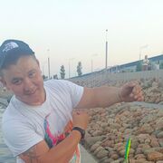 ���������� �����-���������, ���� ������� ��������, 31 ���, ������������ ��� ������, ����� � ���������, c�������� ���������