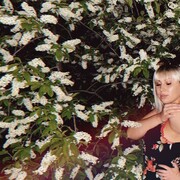 ,   , 28 ,   c 
