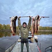 ���������� ��������, ���� ������� ������, 34 ����, ������������ ��� ������, ����� � ���������, c�������� ���������