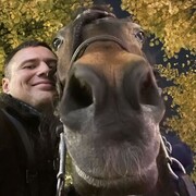 ���������� �����-���������, ���� ������� ����, 38 ���, ������������ ��� ������, ����� � ���������, c�������� ���������, ���������