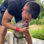 ���������� ������, ���� ����� �������, 25 ���, ������������ ��� ������, ����� � ���������