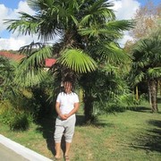 ,   , 46 ,   