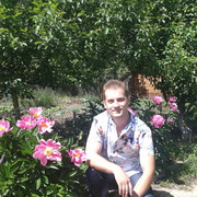 ���������� ������, ���� ������� �����, 38 ���, ������������ ��� ������, ����� � ���������, c�������� ���������