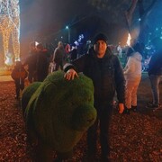 ���������� ������ ���, ���� ������� ���������, 38 ���, ������������ ��� ������, ����� � ���������, c�������� ���������, ���������