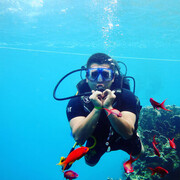 ���������� ���, ���� ������� ����, 29 ���, ������������ ��� ������, ����� � ���������