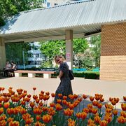  ,   , 38 ,     , c , 