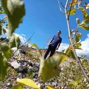 ���������� ������, ���� ������� ������, 50 ���, ������������ ��� ������, ����� � ���������