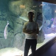  Torhout,   , 41 ,   ,   