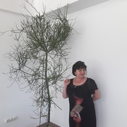 ���������� ��������������, ���� ������� ����, 50 ���, ������������ ��� ����� � ���������, c�������� ���������