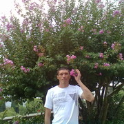 ���������� ���������, ���� ������� �������, 48 ���, ������������ ��� ������, ����� � ���������, c�������� ���������