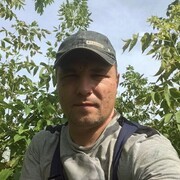 ���������� ����������, ���� ������� �����, 40 ���, ������������ ��� ������, ����� � ���������, c�������� ���������, ���������