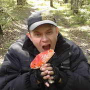 ���������� �����, ���� ������� Qqq, 47 ���, ������������ ��� ������, ����� � ���������, c�������� ���������, ���������