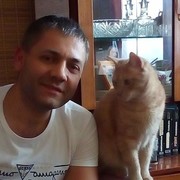   ,   , 43 ,   