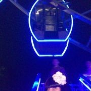  ,   , 41 ,   ,   , c 