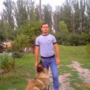   ,   , 36 ,     , c 
