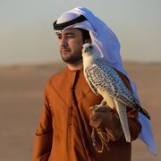 ���������� ������, ���� ������� �����, 39 ���, ������������ ��� ������, ����� � ���������, c�������� ���������