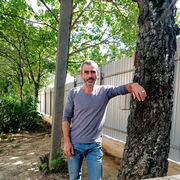 ���������� ��������, ������� ����, 45