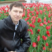 ���������� �������, ���� ������� ����, 48 ���, ������������ ��� ������, ����� � ���������, c�������� ���������