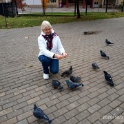  ,   , 62 ,   ,   