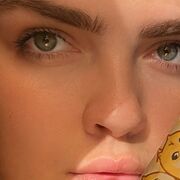 ���������� ������, ���� ������� �����, 26 ���, ������������ ��� ������, ����� � ���������