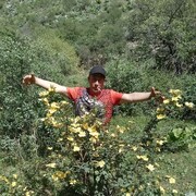  ,   Vovka, 40 ,  