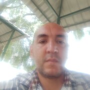  ,  Fura, 44