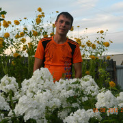  ,   , 43 ,   ,   , c 