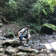  ,   , 37 ,   ,   